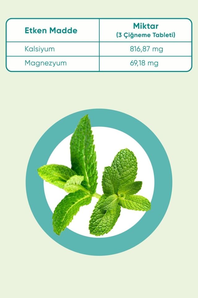 Mint 80 Çiğneme Tableti
