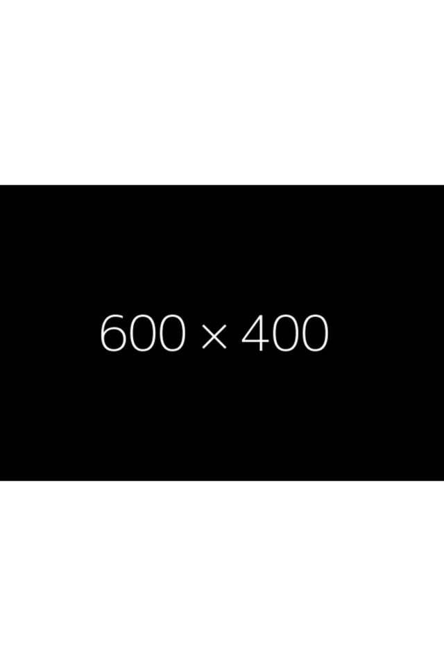 Folik Asit 400 Mcg 100 Tablet-