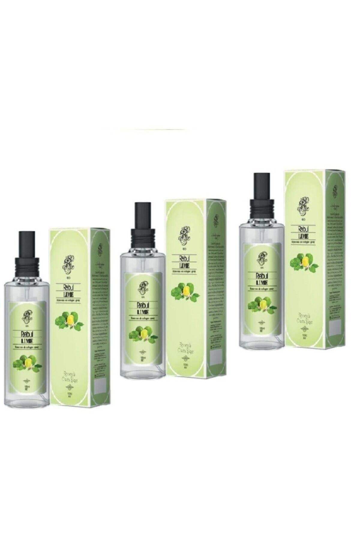Lime 100 Ml Sprey-3 Adet