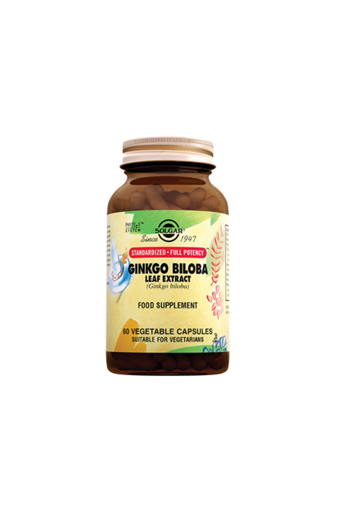 Ginkgo Biloba Leaf Extract 60 Kapsül