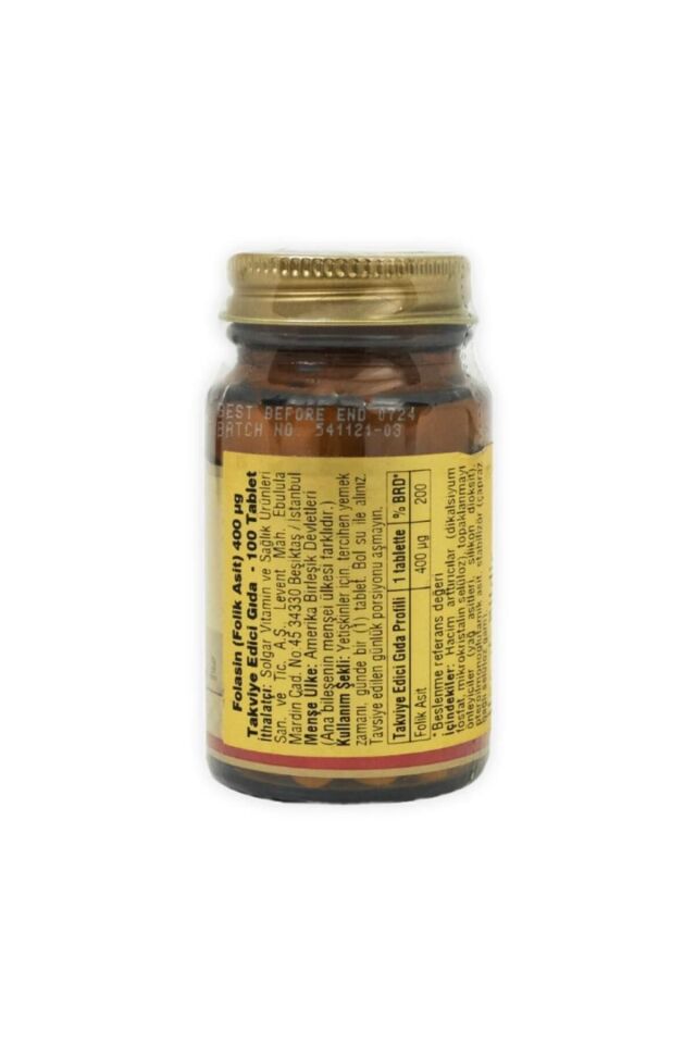 Folacin 400 Mcg 100 Tablet