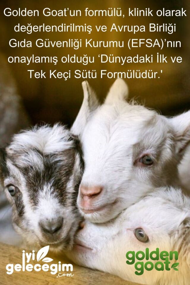 Keçi Bebek Sütü 1 Numara 400 Gr 2'li Paket
