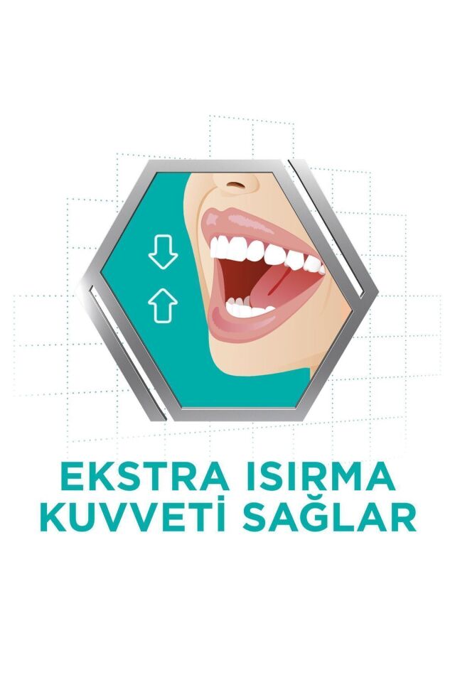 Tat İçermez Yapıştırıcı Krem 40G x 4 Adet